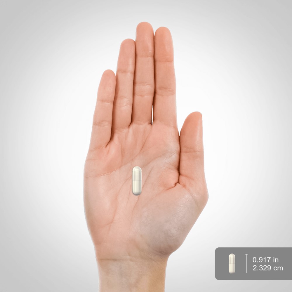 Piping Rock Irish Sea Moss Complex capsule shown on a human hand for size reference, with the capsule measuring 0.917 inches (2.329 cm) in length. Capsule is off-white and the background is light gray.