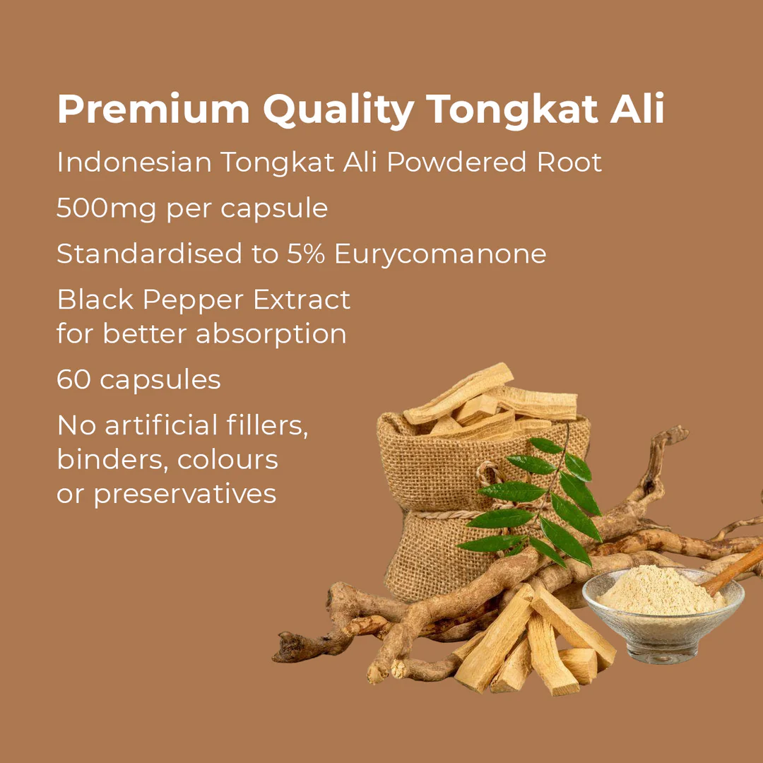 Angled view of Kratox Tongkat Ali Pro 60 Caps bottle, highlighting the front label and branding