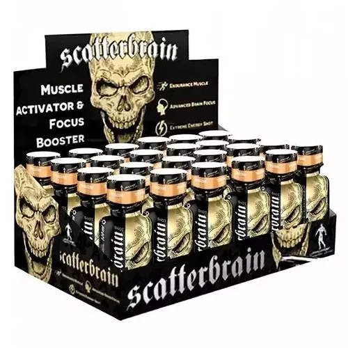 Scatterbrain Scatterbrain Shot Mango 120ml x12, a muscle activator and focus booster energy shot in a black and gold skull-themed display box, mango flavour.